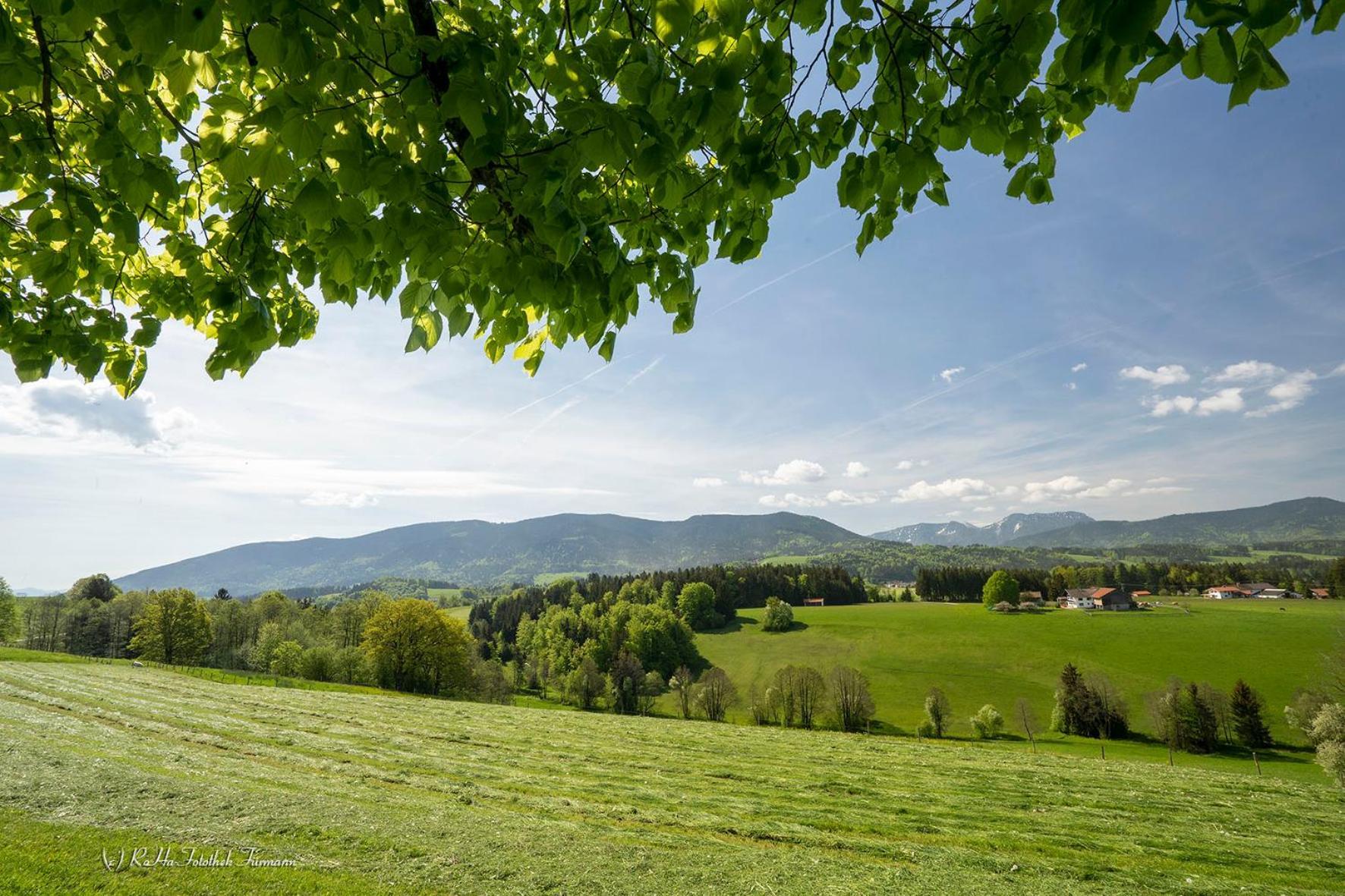 Monteurzimmer Am Teisenberg Neukirchen am Teisenberg Екстериор снимка